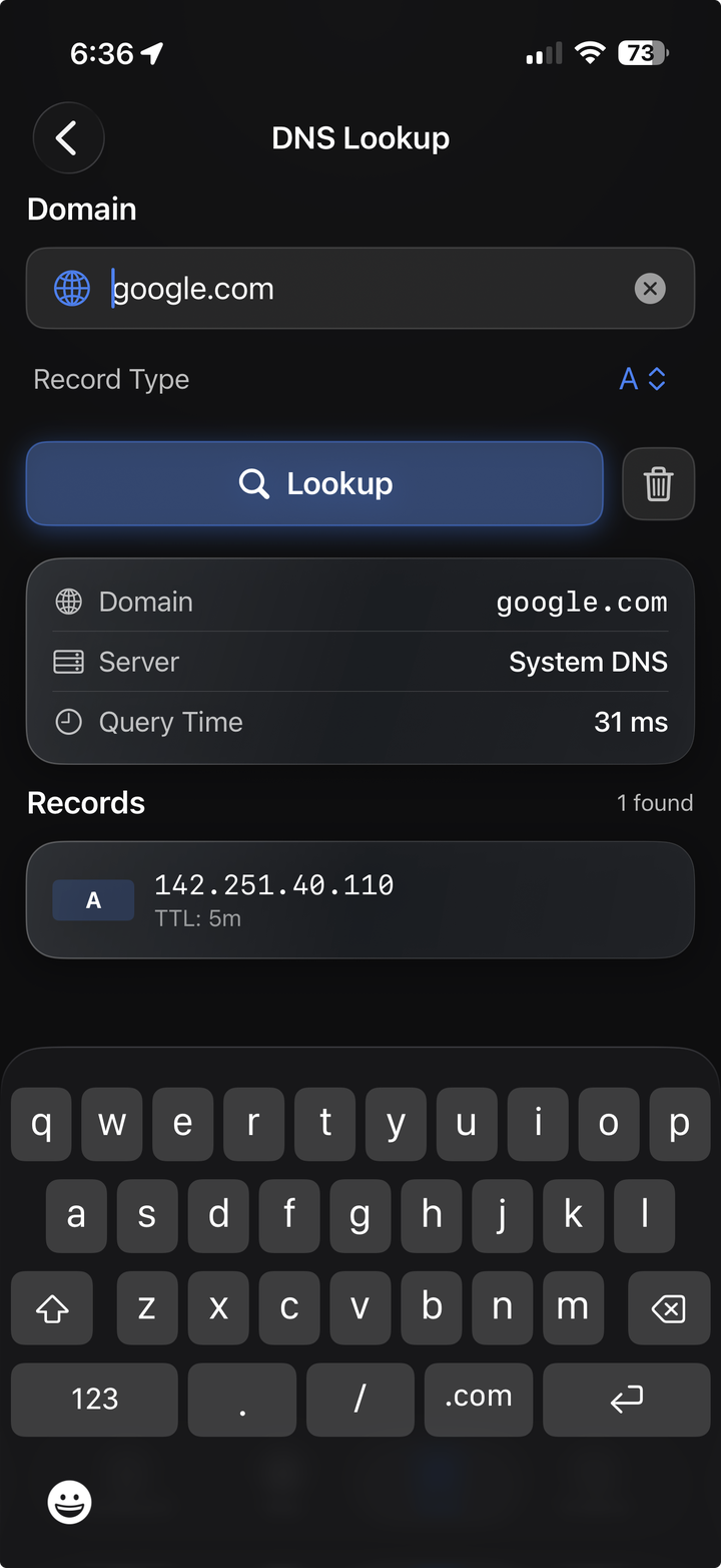 DNS lookup
